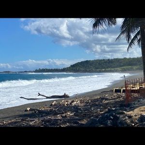 Meet your Posher, Dorothy